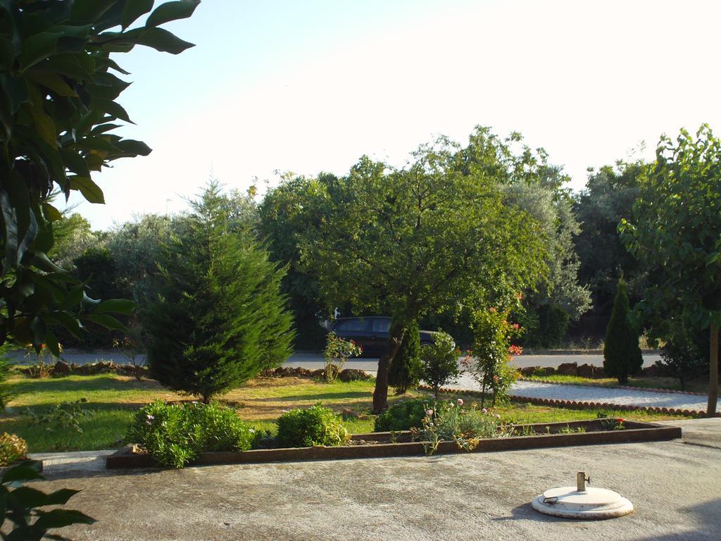 Hotel Kassandra 칼라네라 외부 사진